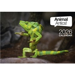Easy -2C Wall Calendar A4 Month To View Animal Antics 