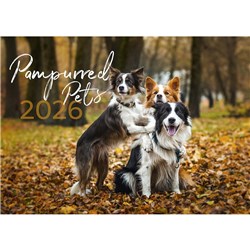 Easy -2C Wall Calendar 337 x 240mm Month To View Pampurred Pets